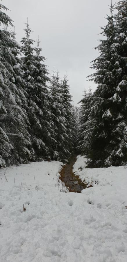 Hotel L'Avenue Libramont-Chevigny Zewnętrze zdjęcie
